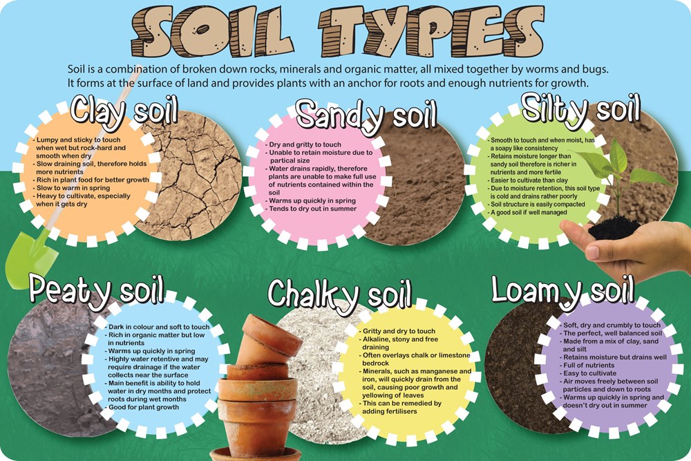 presentation of types of soils