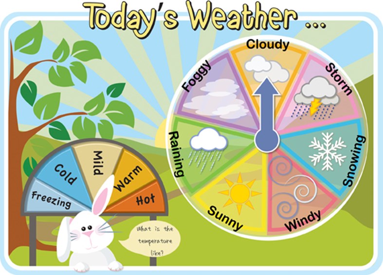 Today's Weather Board