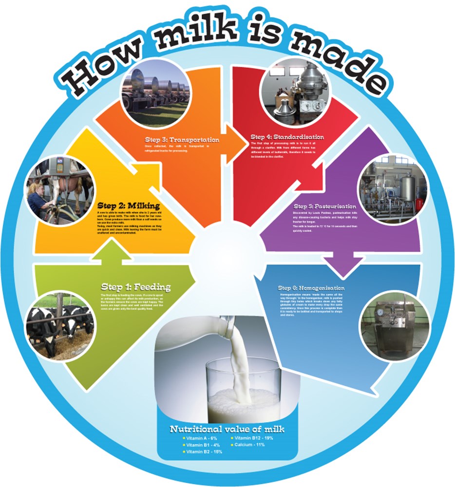 Food Cycles - Milk  Spaceright Europe Ltd