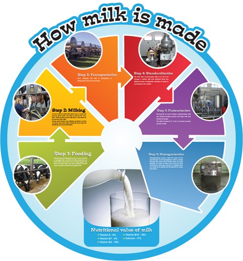 Food Cycles - Milk