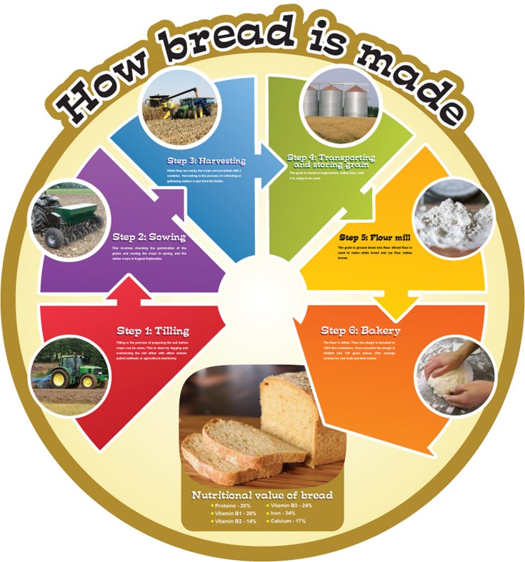 Food Cycles - Bread