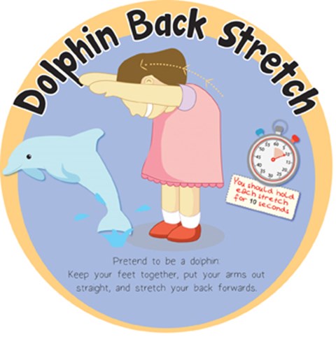 Stretches - Dolphin Back