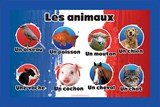 French Language Animals