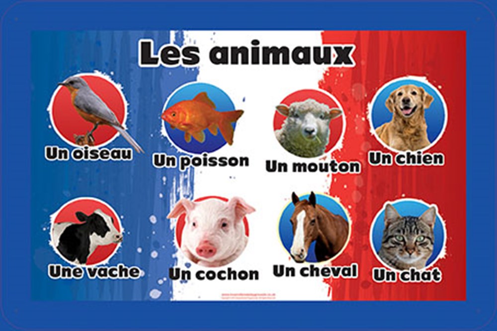 French Language Animals | Spaceright Europe Ltd
